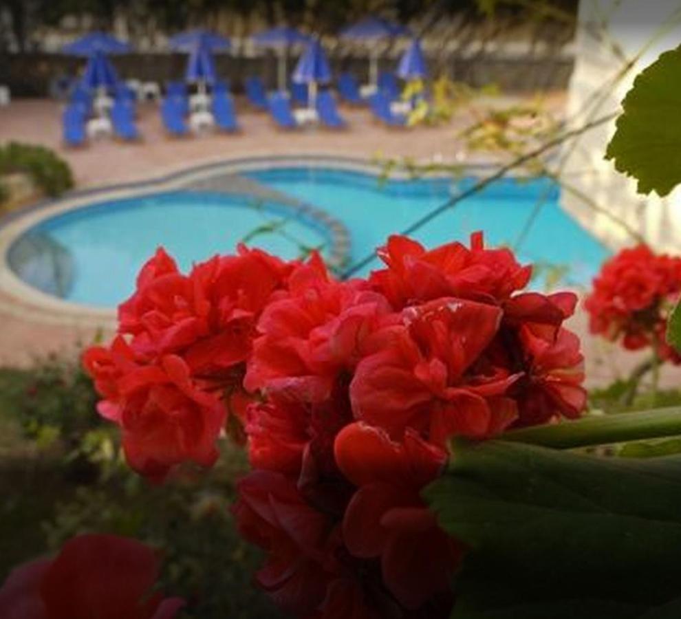 Lili Apartments,Oasis 2,5 Km From Hania Center Parigoria Екстериор снимка